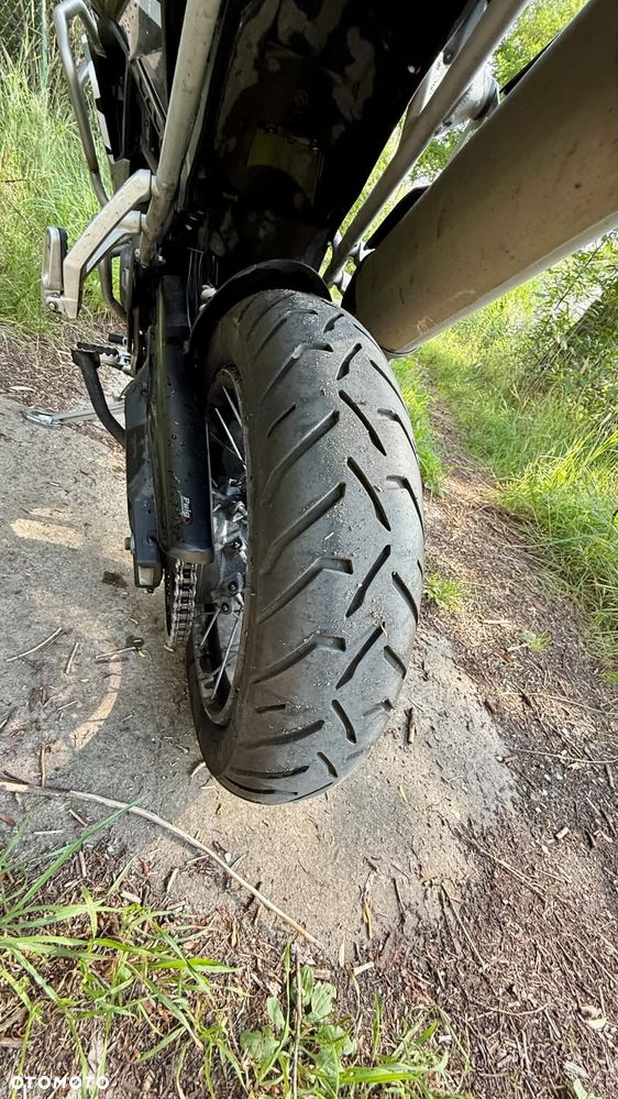 Triumph Tiger - 13