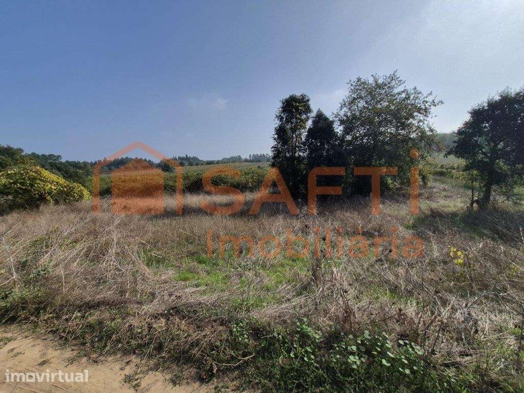 Terreno agrícola com forte potencial vitivinícola e com 5870 m2 em ... - Grande imagem: 4/12