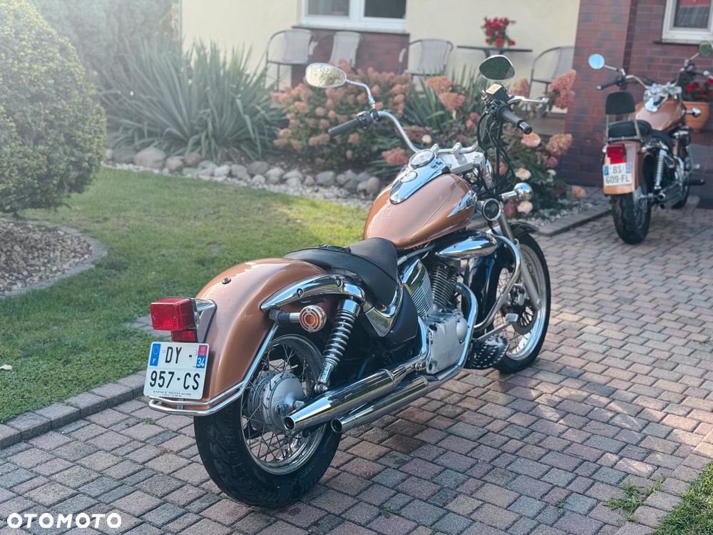 Suzuki Intruder - 6