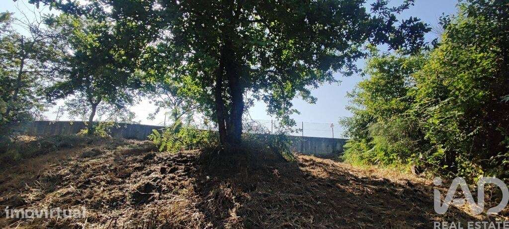 Terreno em Romarigães - Grande imagem: 3/24