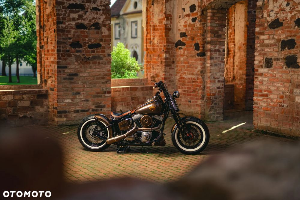 Harley-Davidson Softail Cross Bones - 14