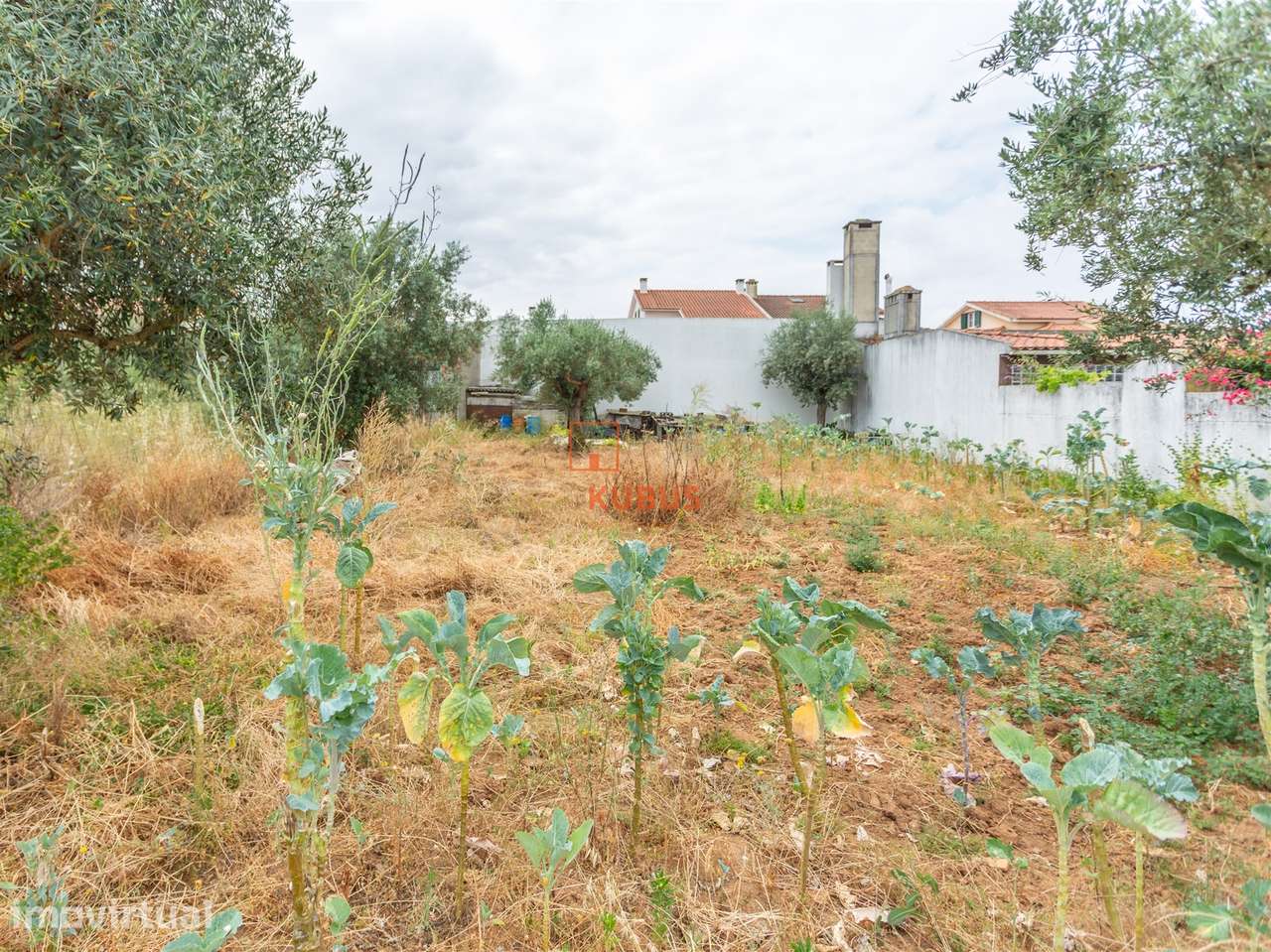 Lote de Terreno  Venda em São João Baptista,Entroncamento - Grande imagem: 2/16