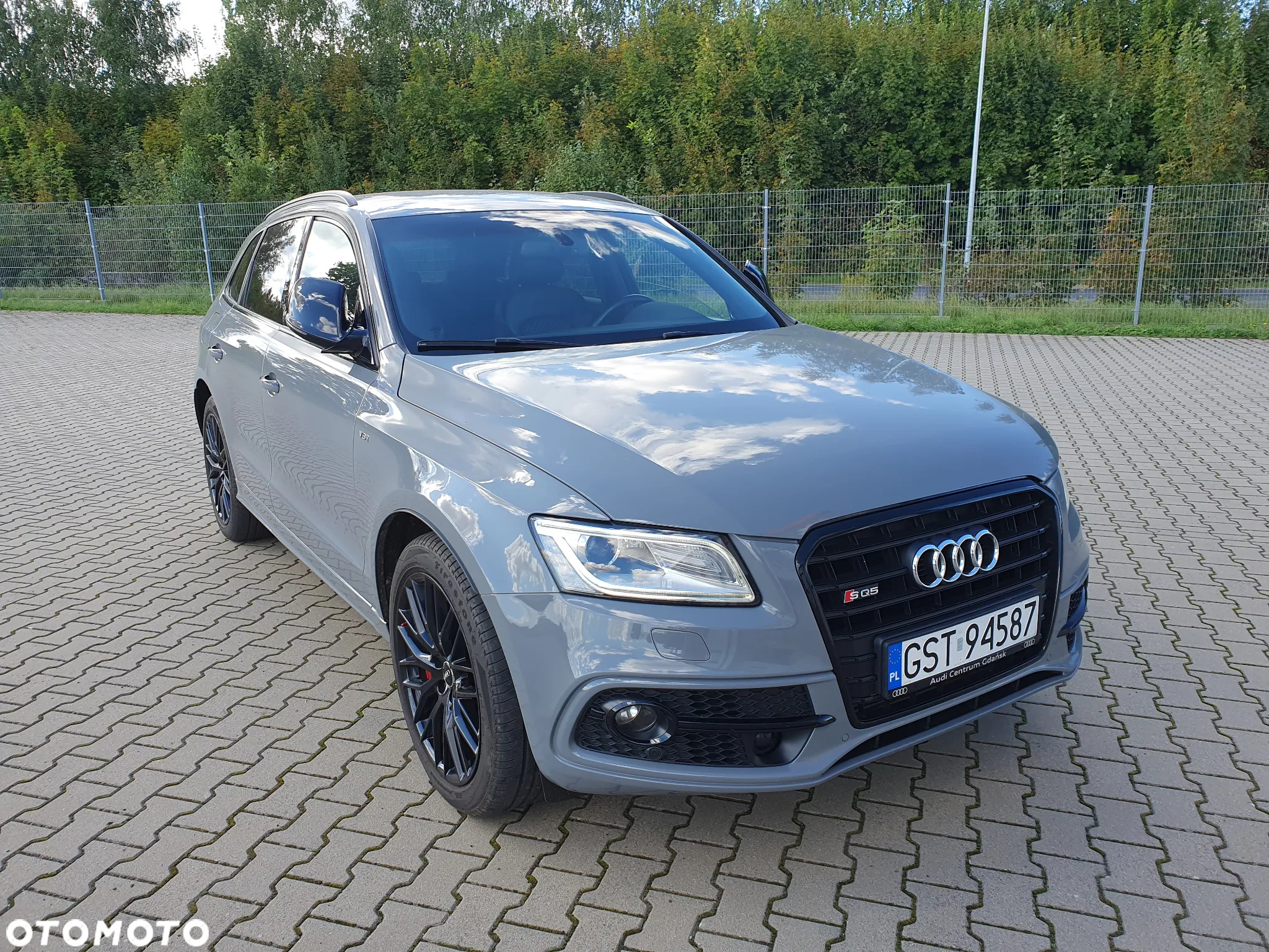 Audi SQ5 3.0 TDI Plus Quattro Tiptr - 2