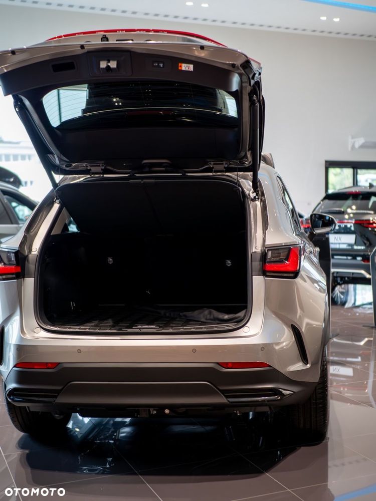 Lexus NX - 6