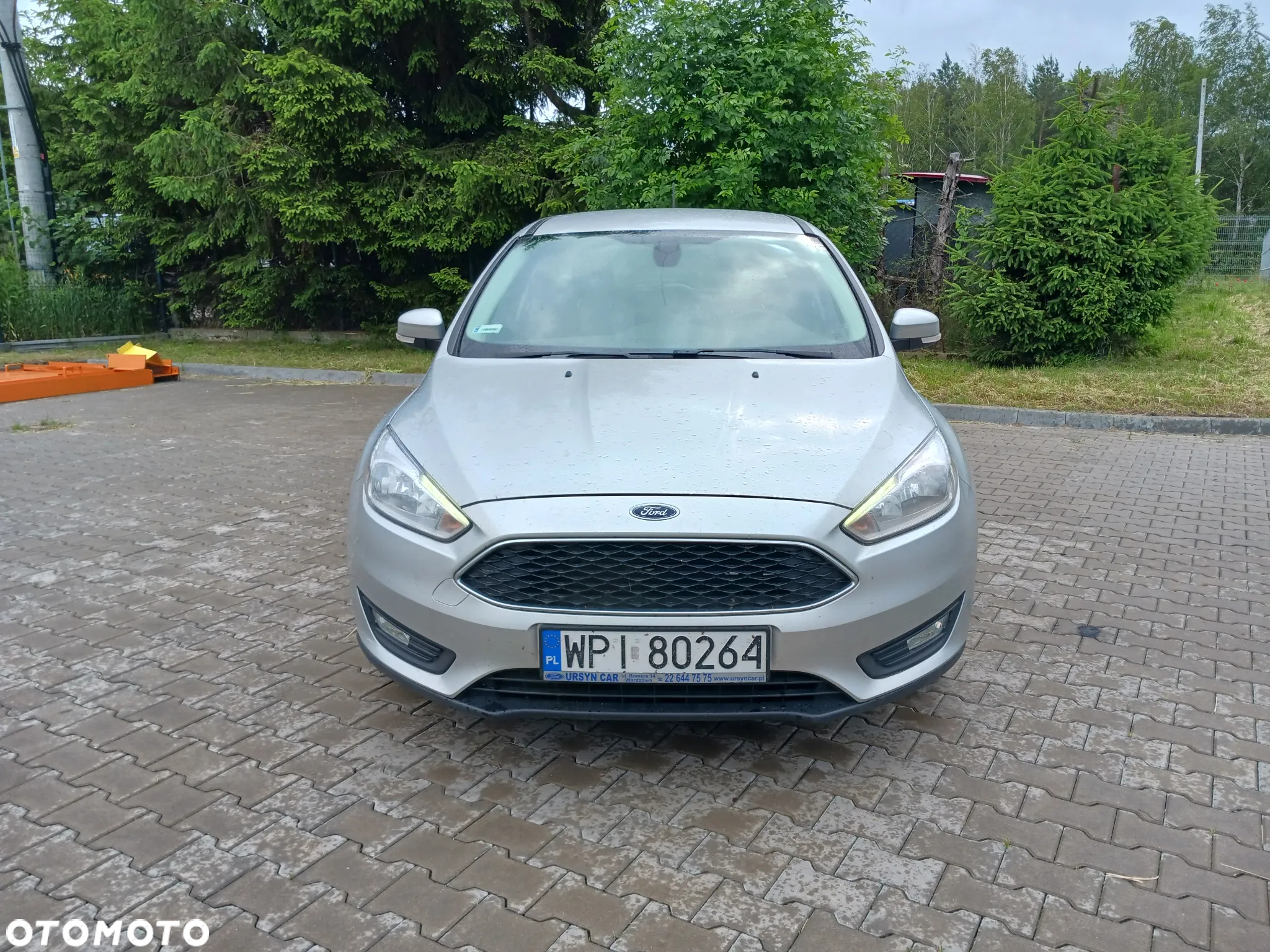 Ford Focus 1.5 EcoBlue Trend - 2