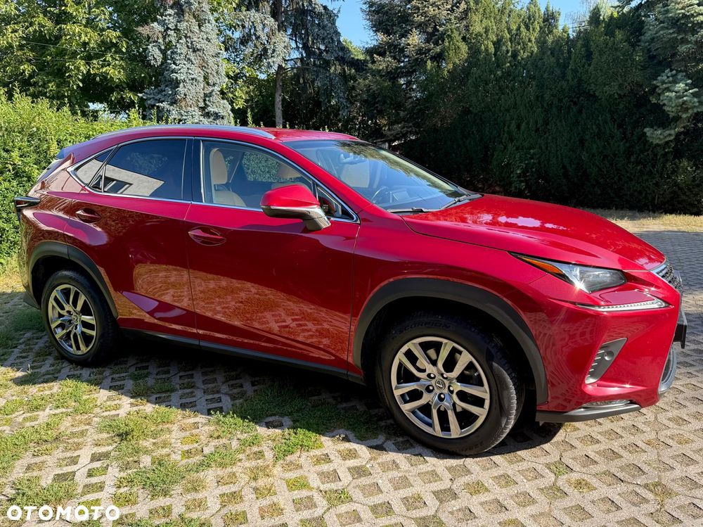 Lexus NX 300 Comfort AWD - 7