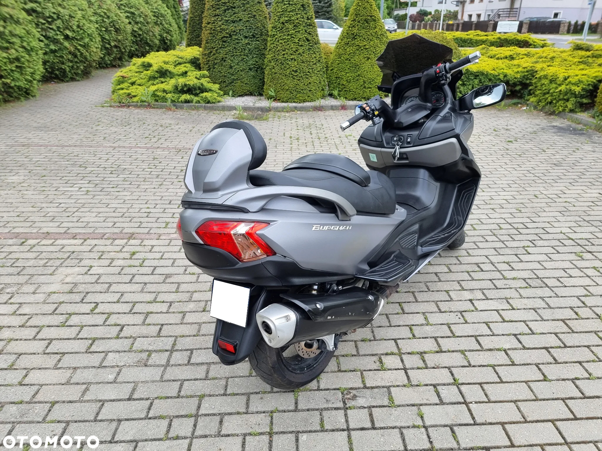 Suzuki Burgman - 10