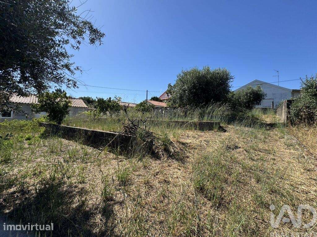 Terreno para construção em Serra e Junceira - Grande imagem: 3/22