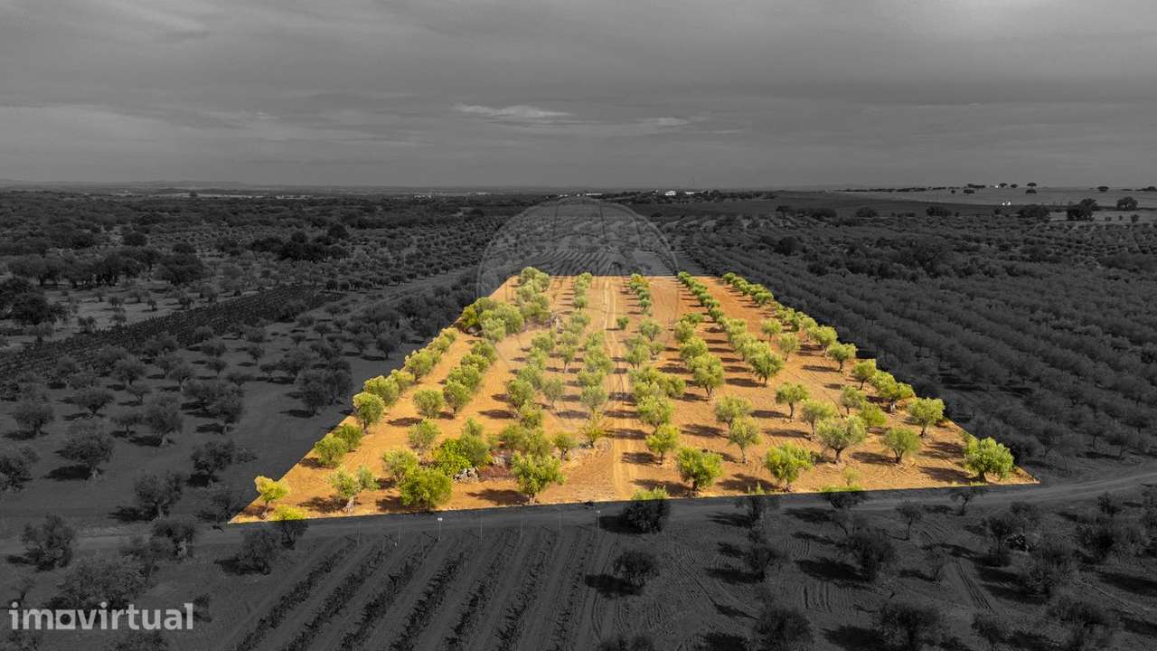 Terreno  para venda - Grande imagem: 2/20