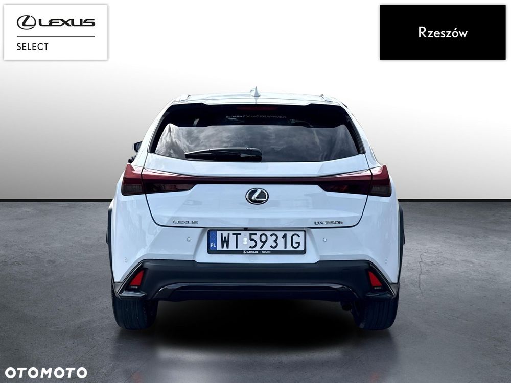 Lexus UX 250h GPF F Sport Design+ 2WD - 4