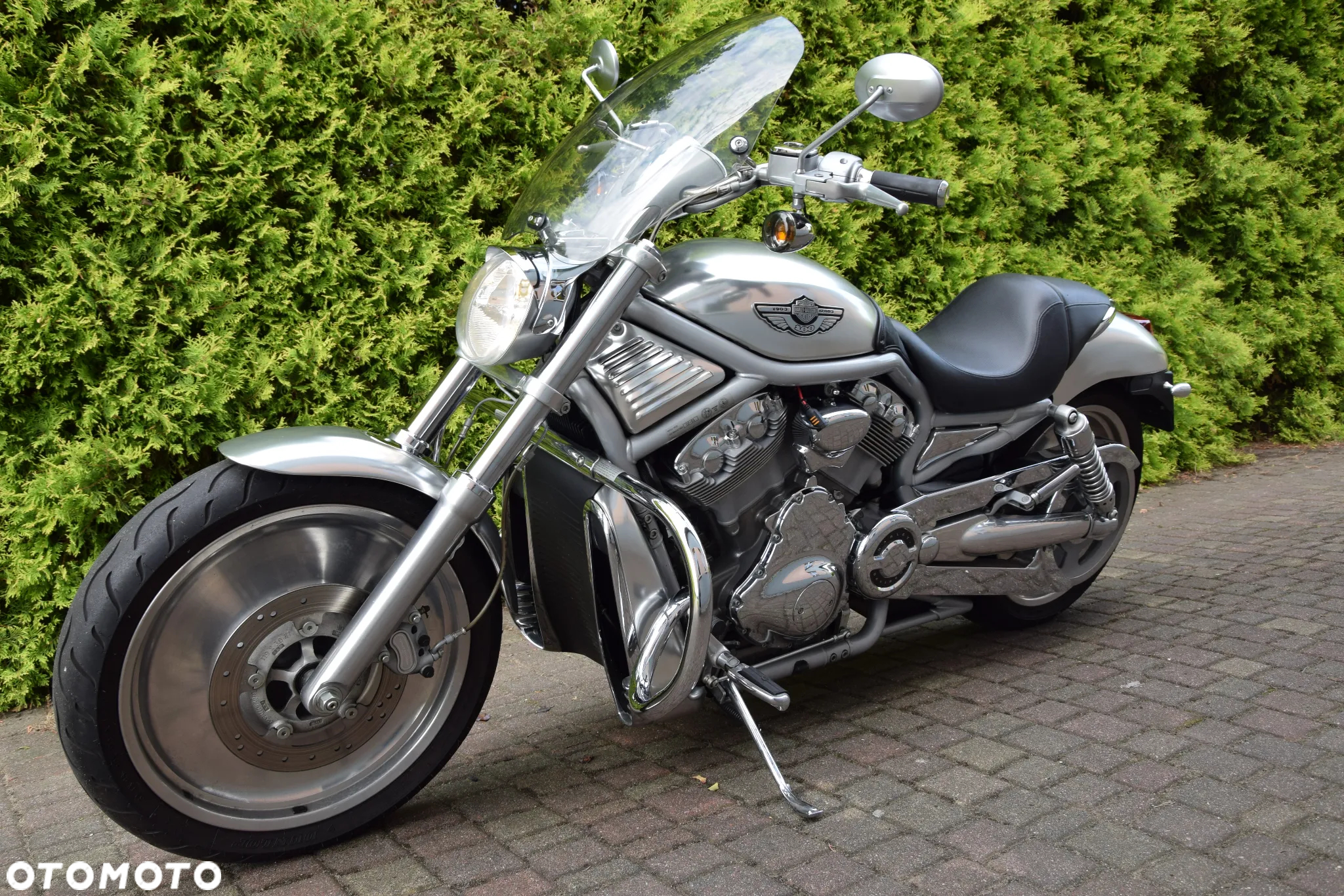 Harley-Davidson Softail V-Rod - 3