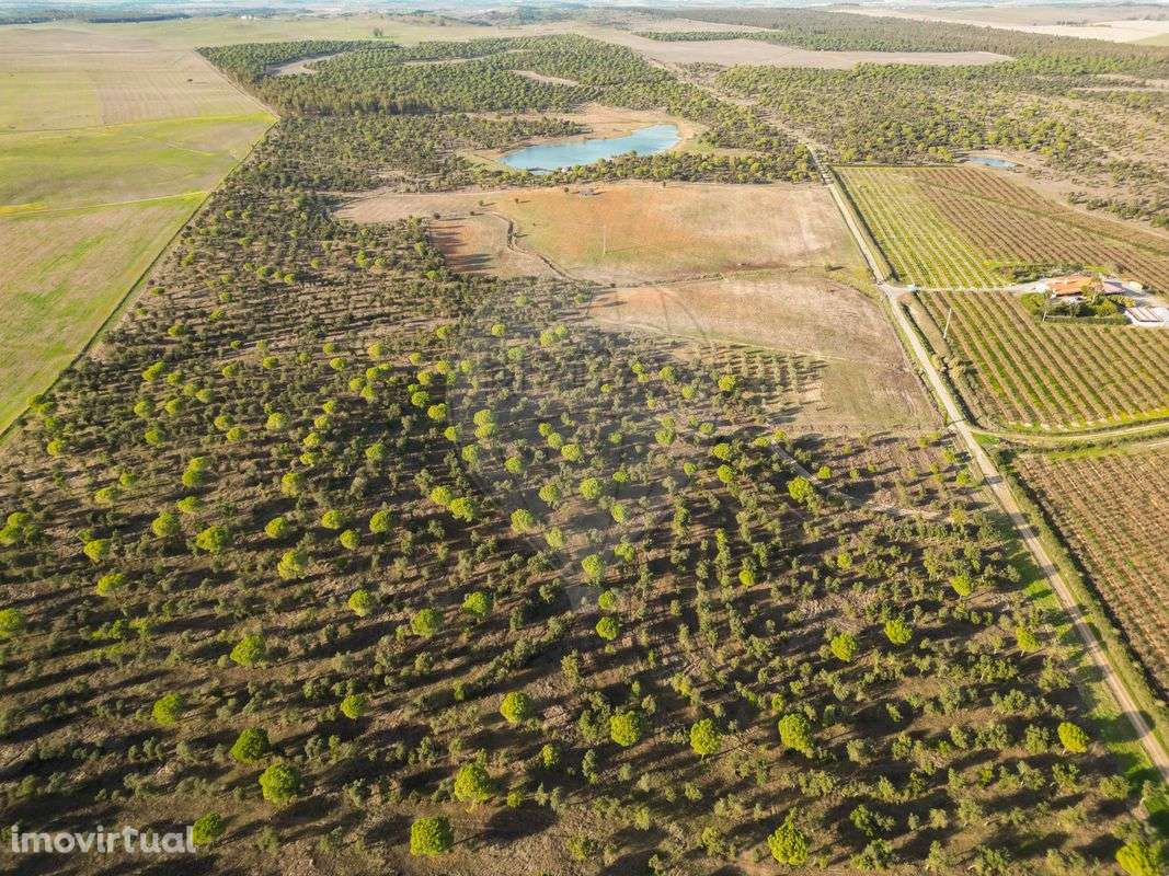 Quinta T3 para venda - Grande imagem: 2/33