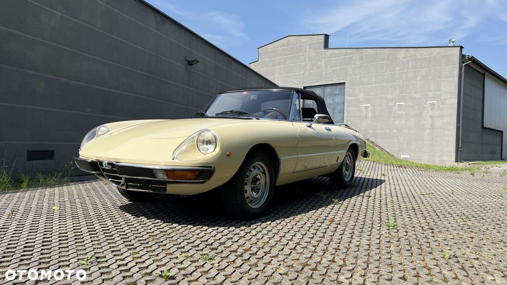 Alfa Romeo Spider - 1