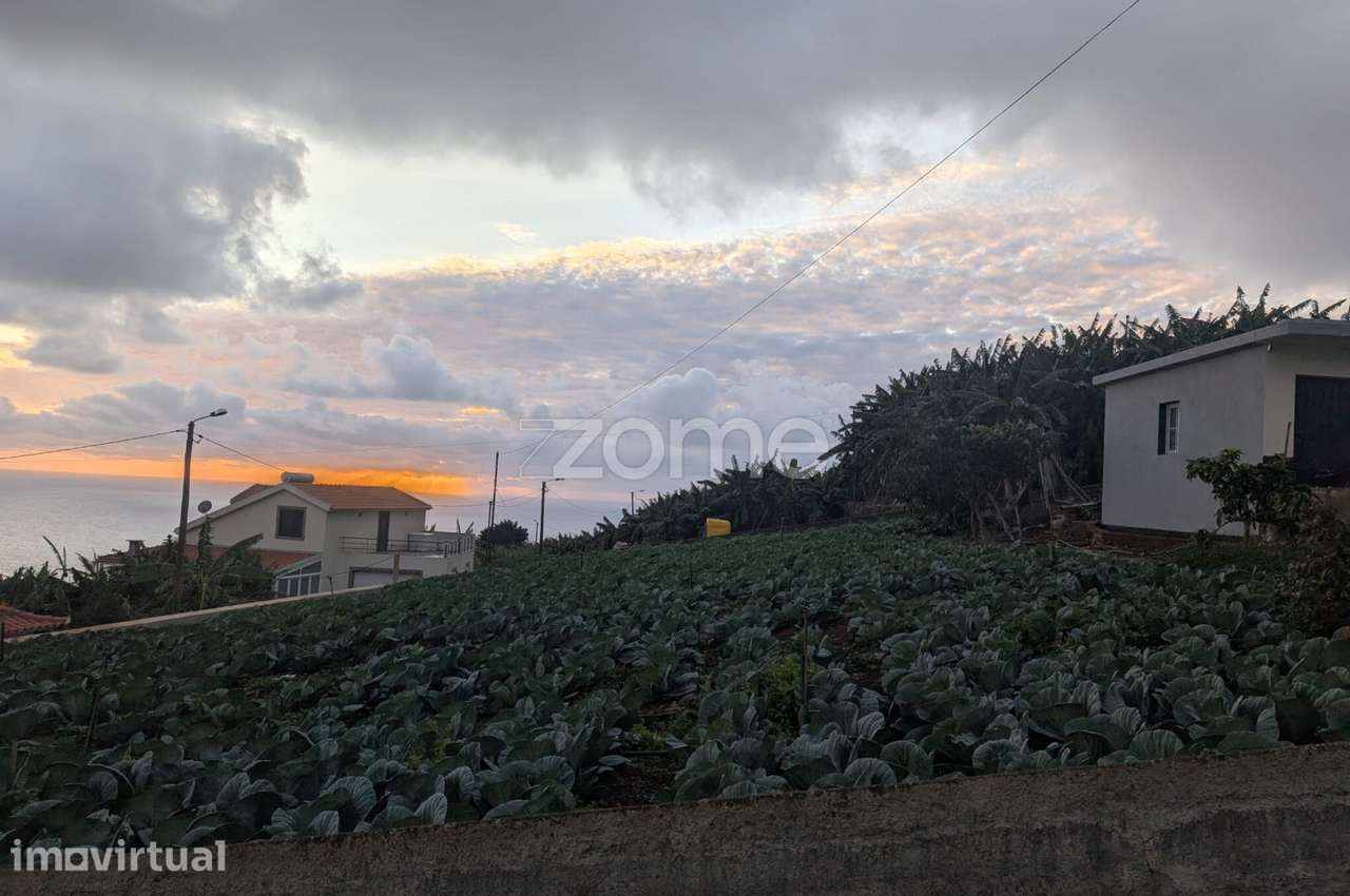 Terreno com Vista Mar e Grande Potencial de Construção | Canhas - Grande imagem: 5/11
