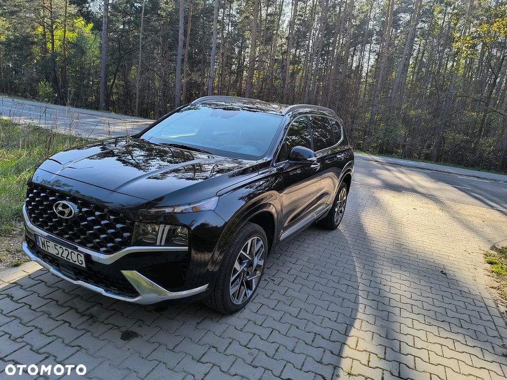 Hyundai Santa Fe - 18