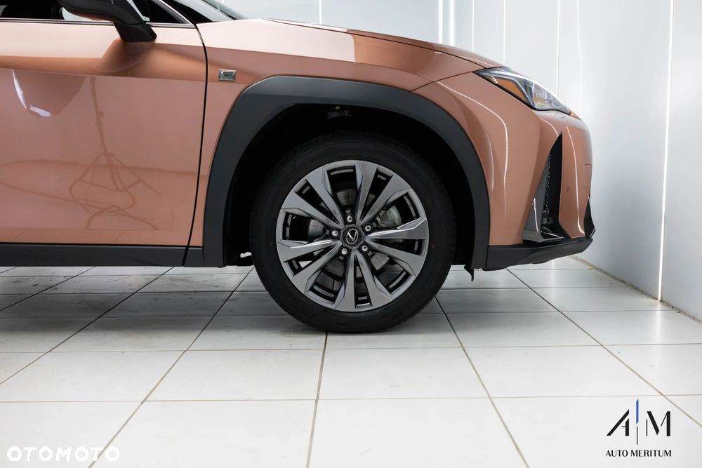 Lexus UX 300h F Sport Design AWD - 37