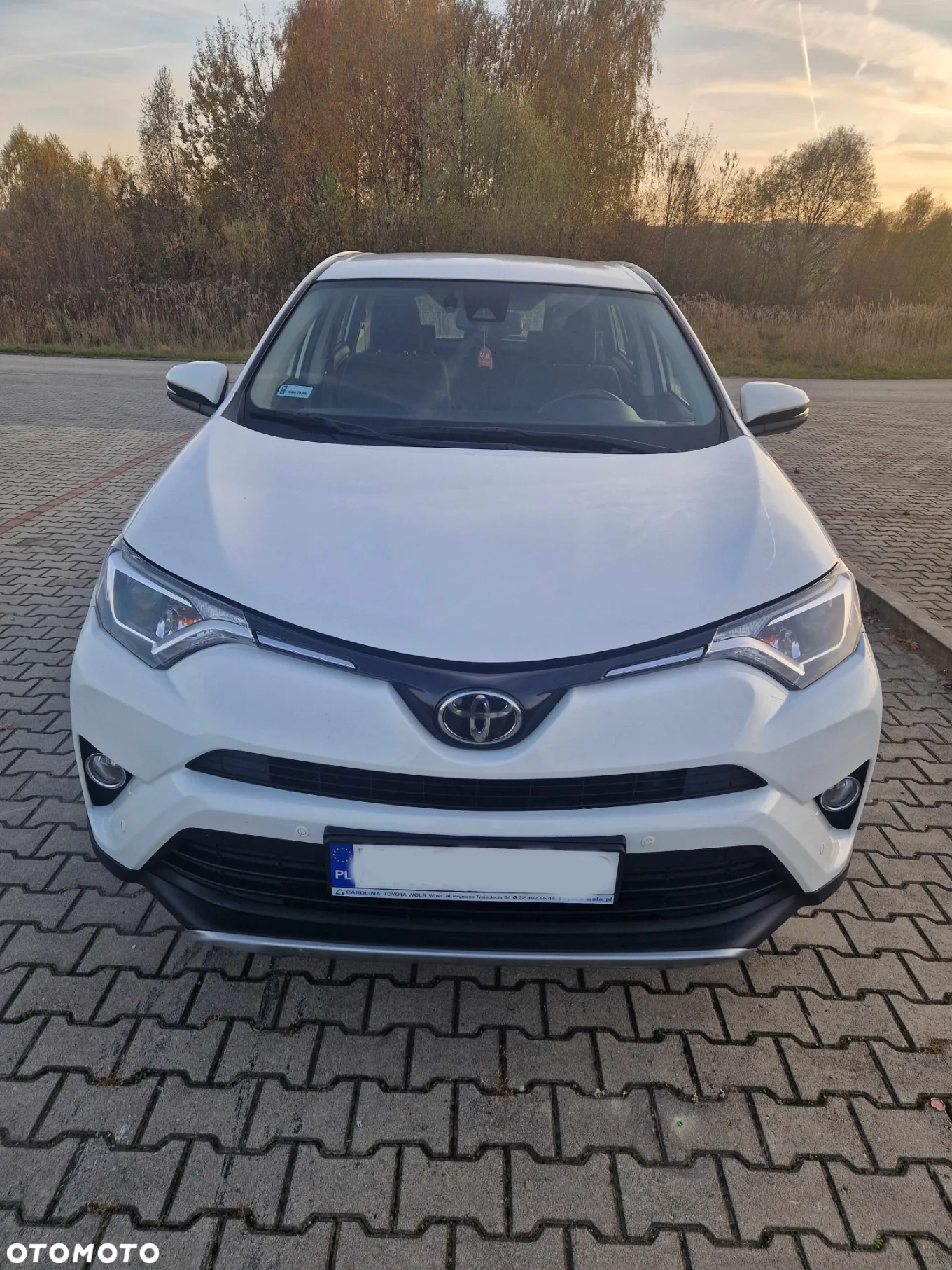 Toyota RAV4 2.0 Prestige 4x4 MS - 2