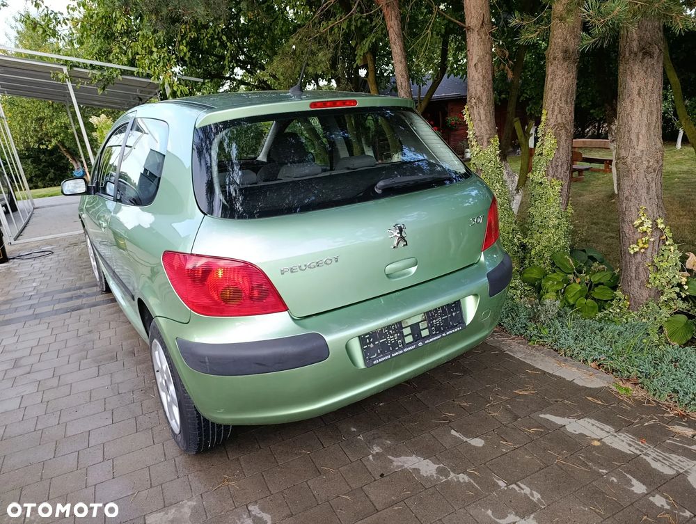 Peugeot 307 110 Grand Filou - 6