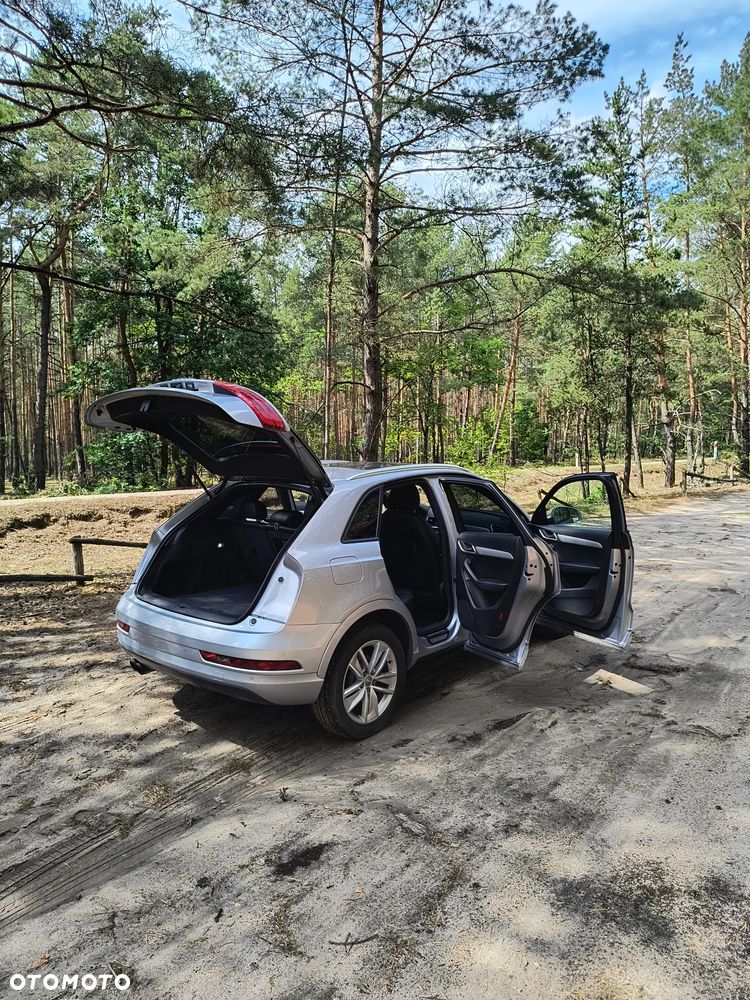 Audi Q3 - 19