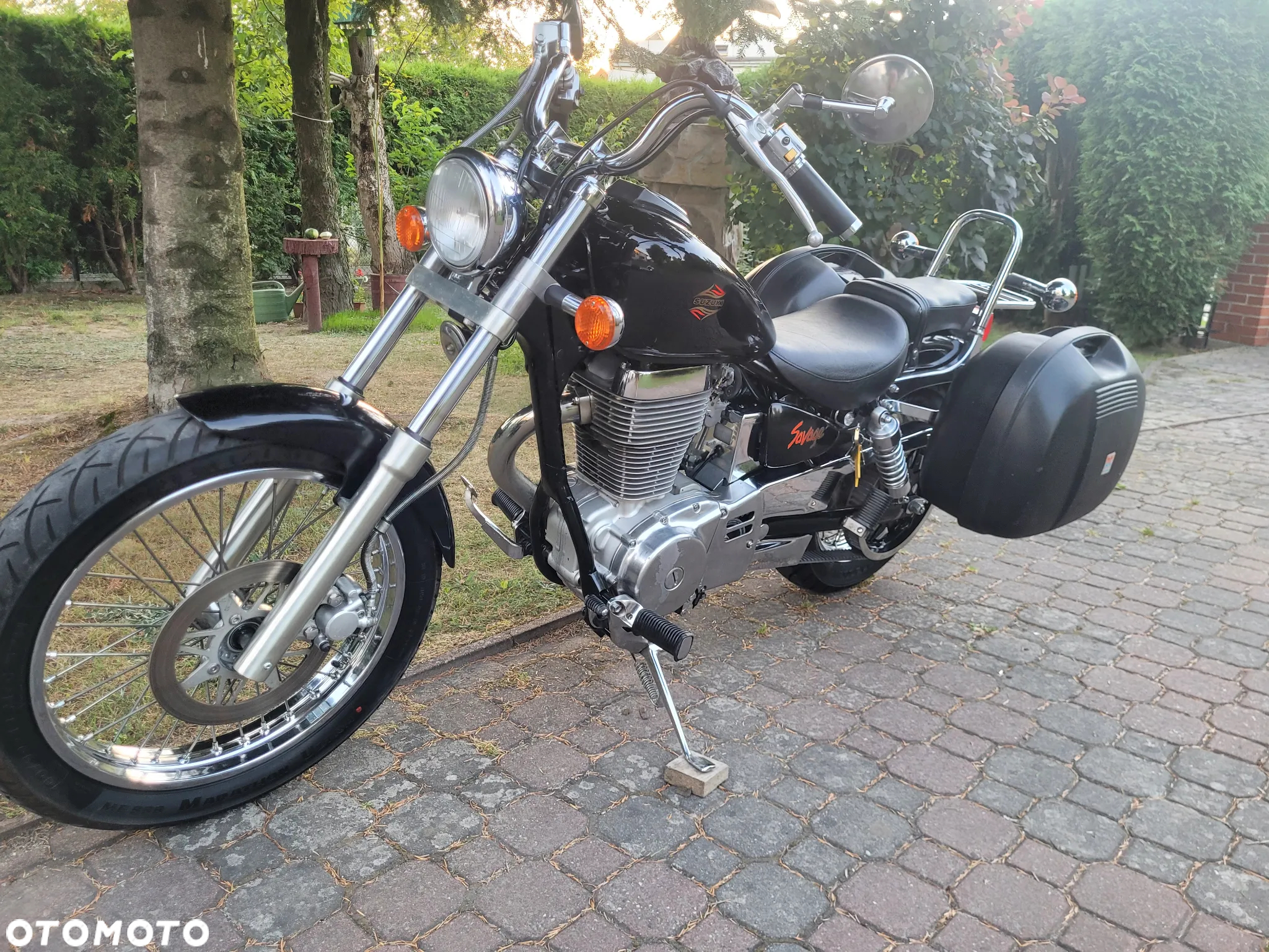 Suzuki Savage - 21
