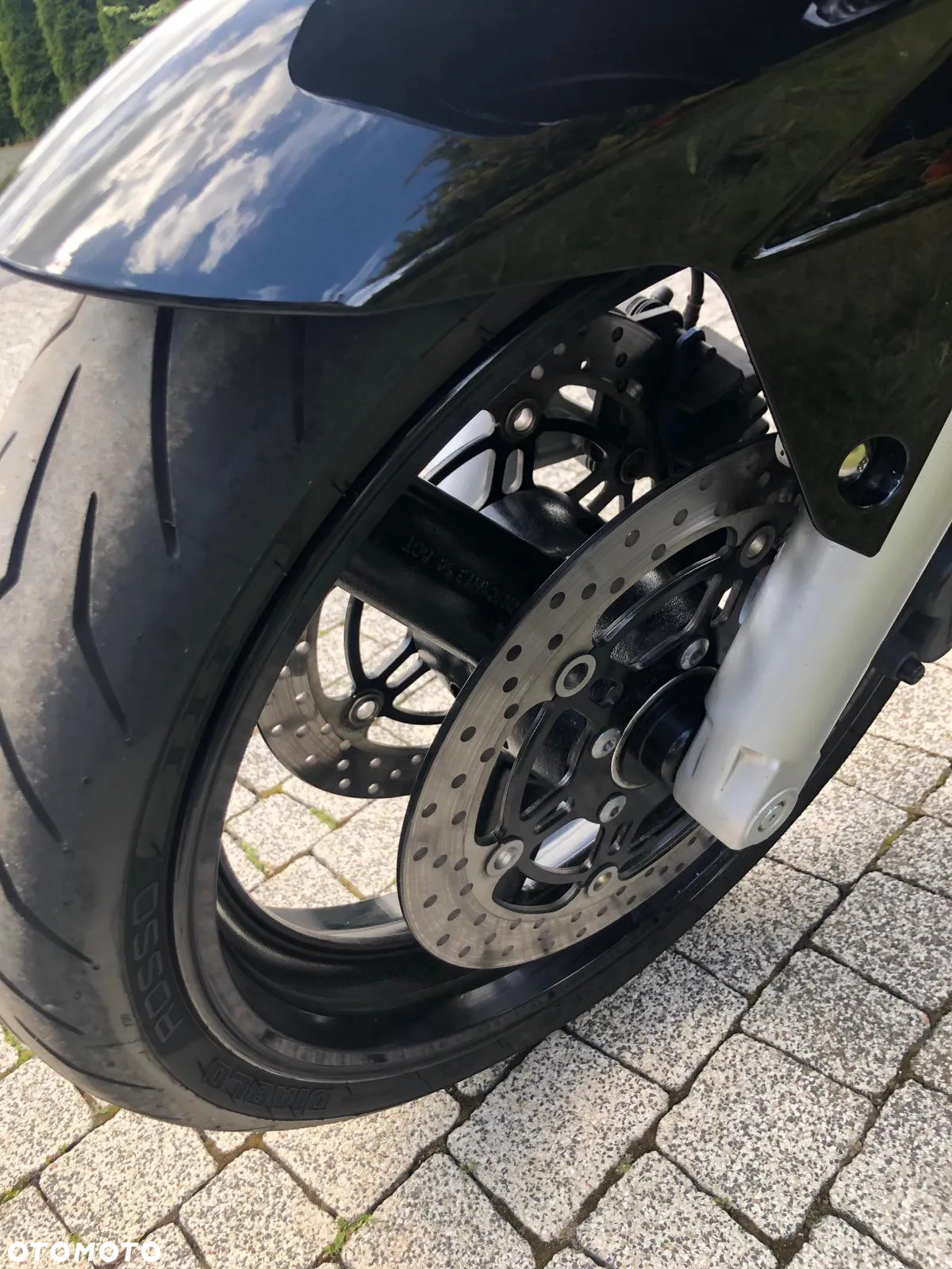 Suzuki SV - 12