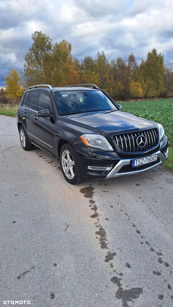 Mercedes-Benz GLK 250 CDI BlueTEC 4-Matic - 7