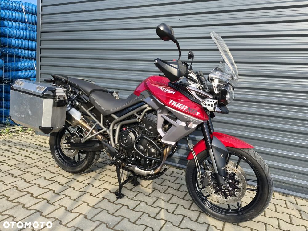 Triumph Tiger - 5