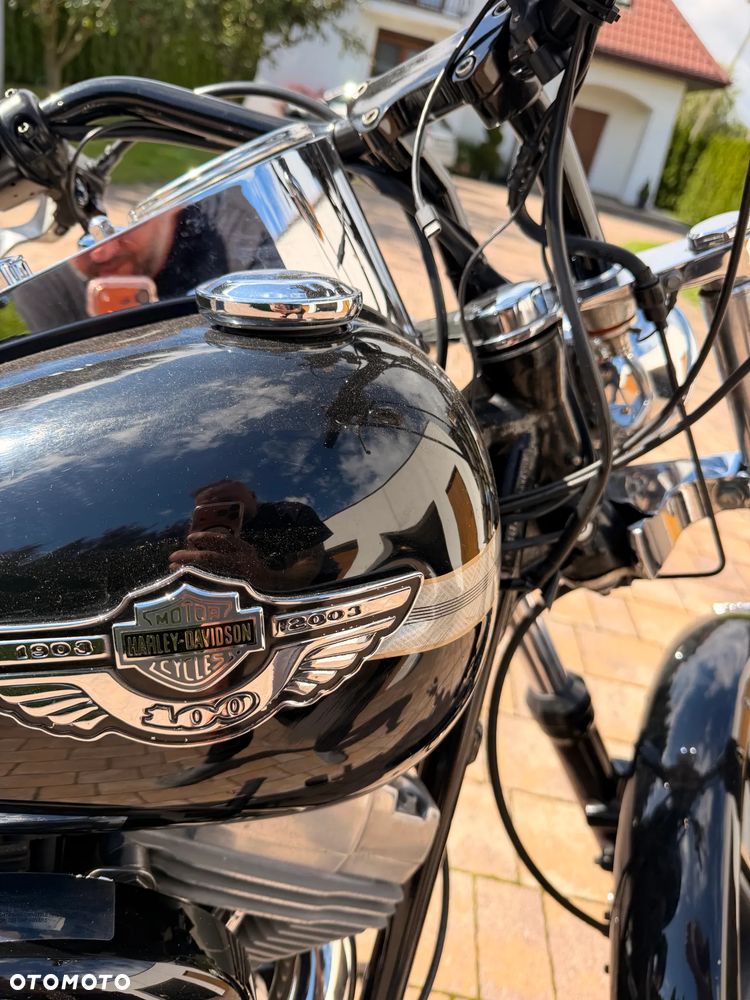 Harley-Davidson Softail - 7