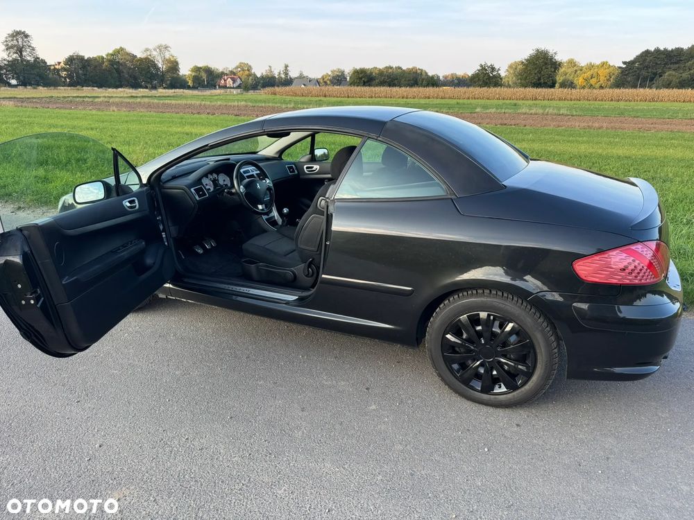 Peugeot 307 CC 2.0 - 21