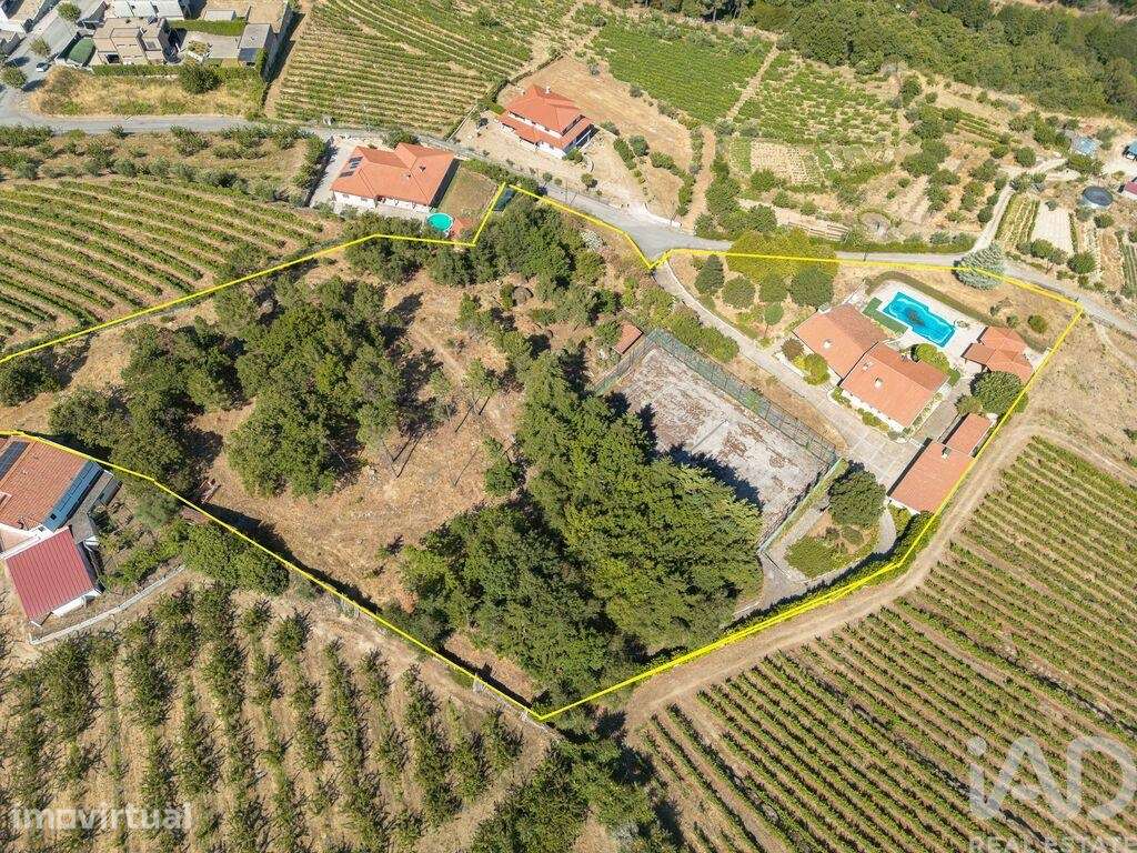 Casa / Villa T4 em Lamego - Grande imagem: 5/40