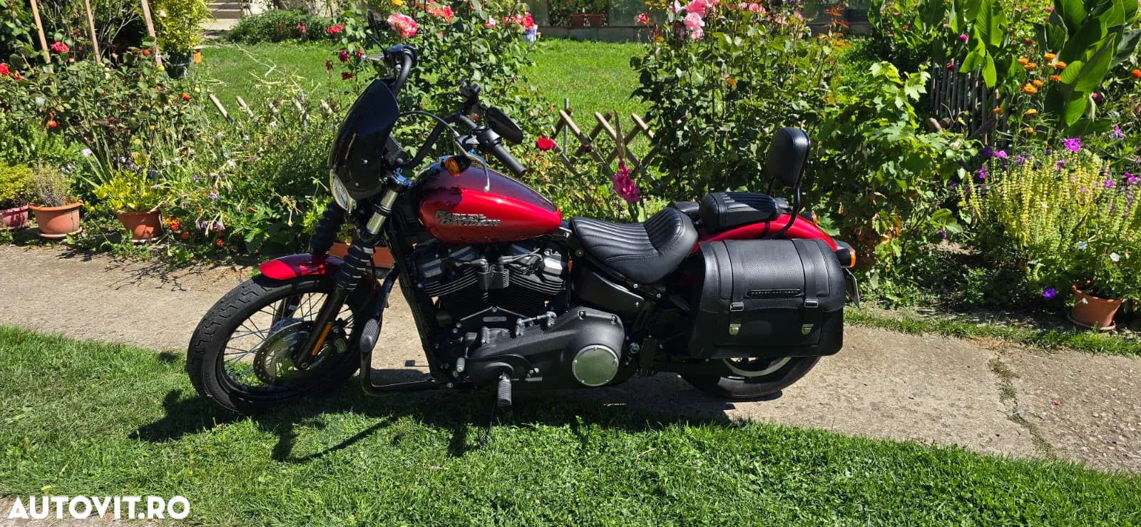 Harley-Davidson Softail Street Bob - 4