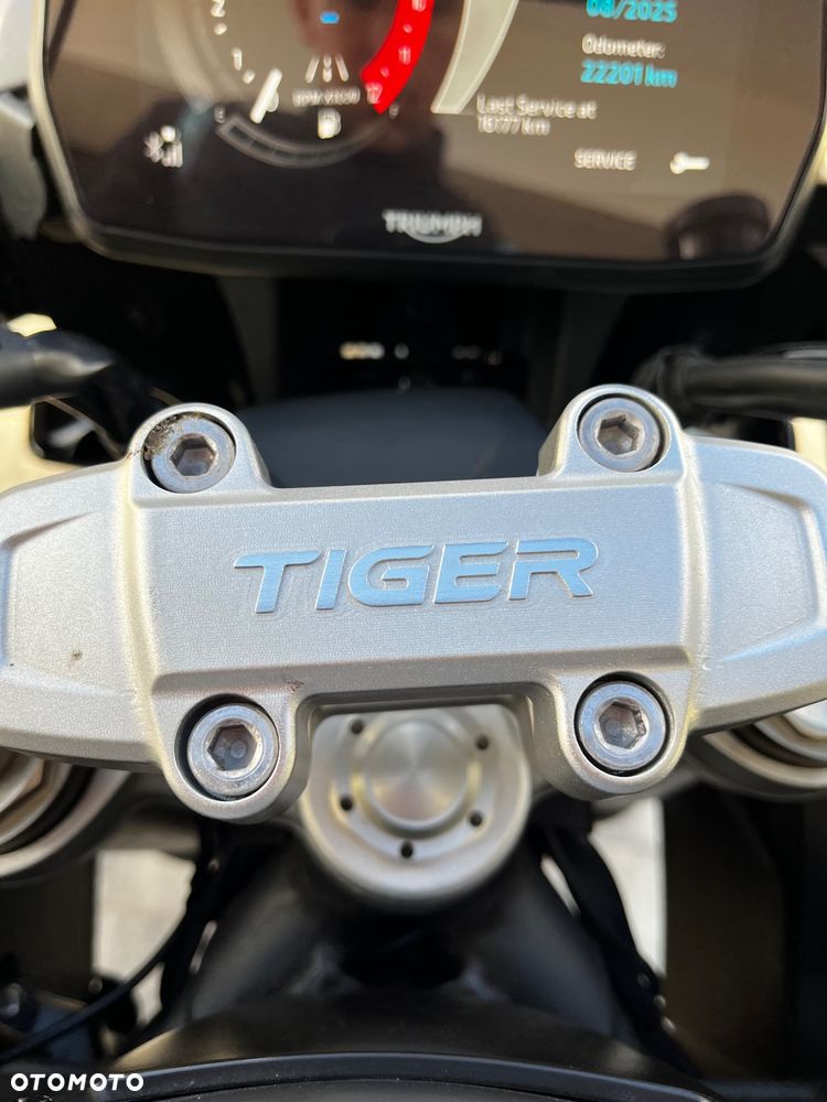 Triumph Tiger - 13