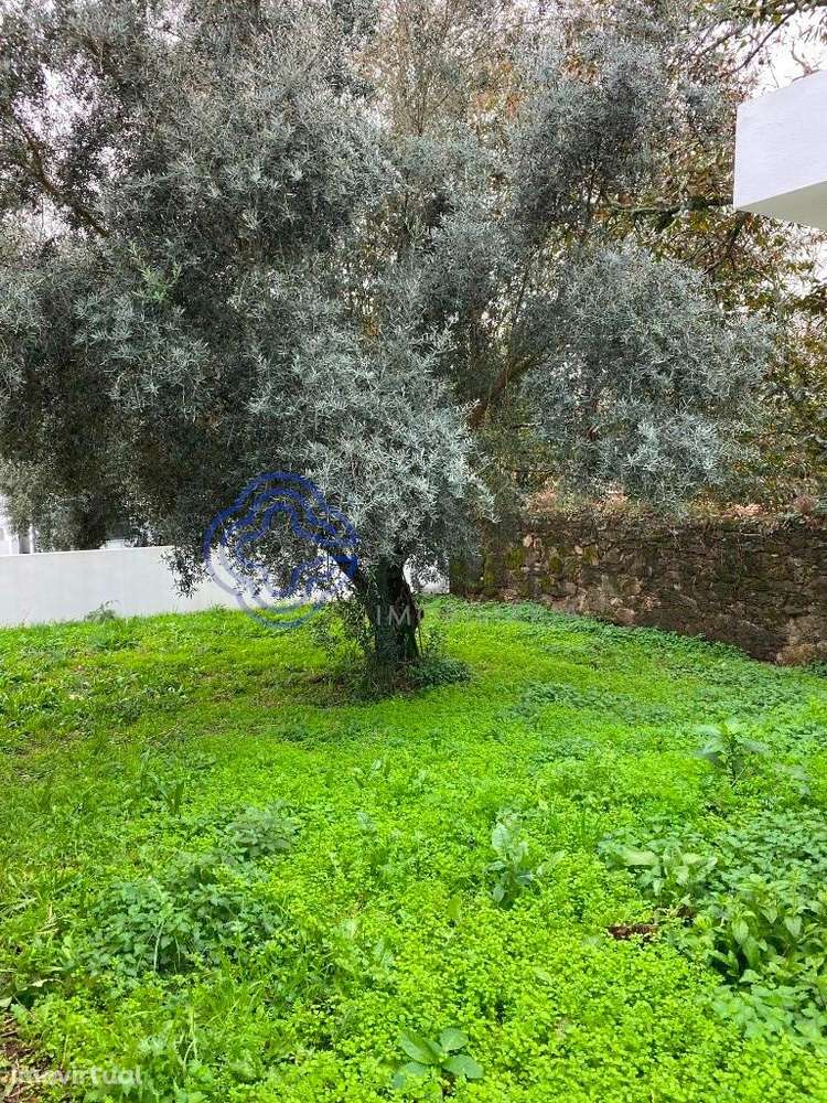 Moradia em Campos - VN Cerveira - Grande imagem: 4/23