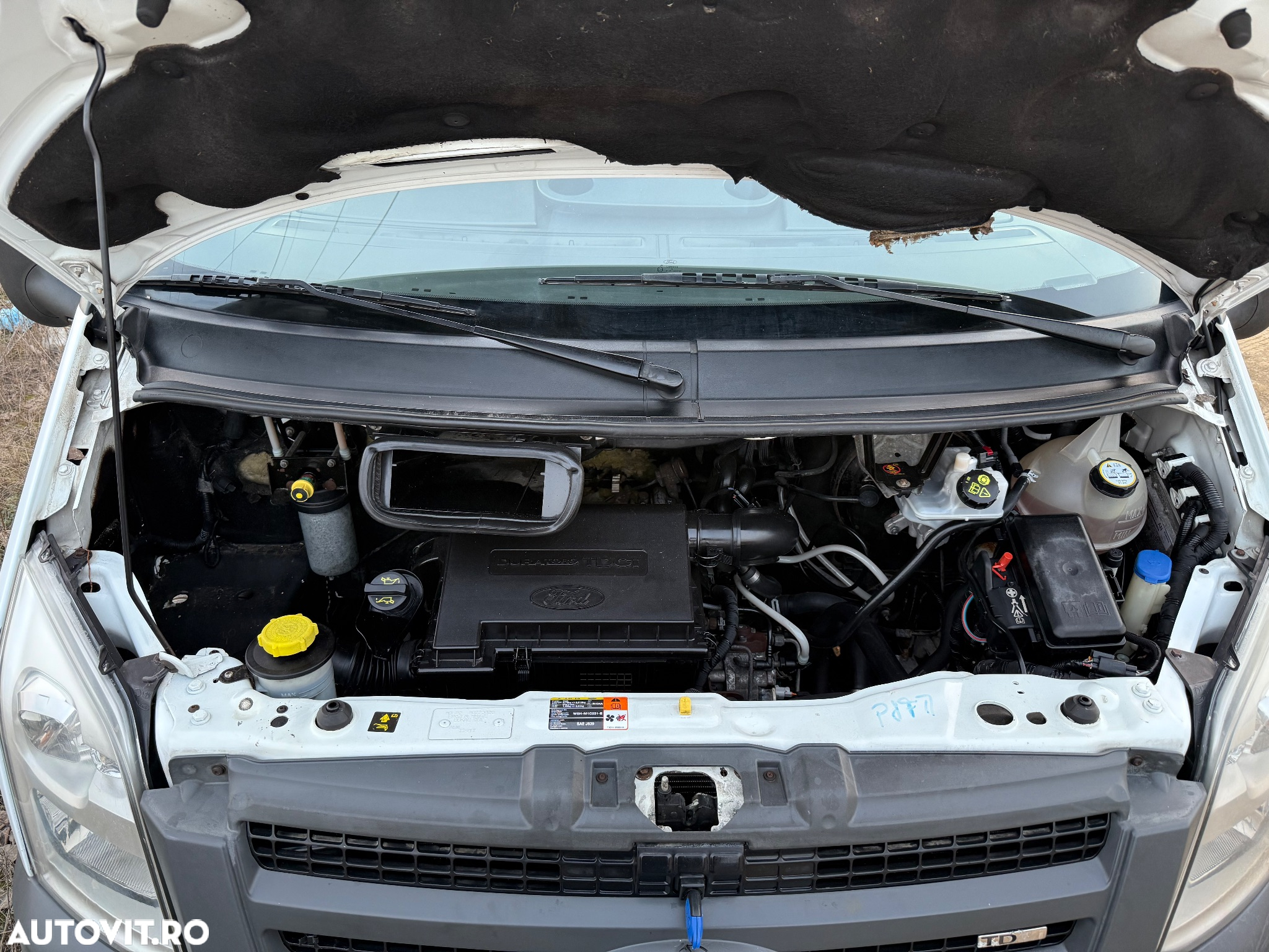 Ford Transit - 17