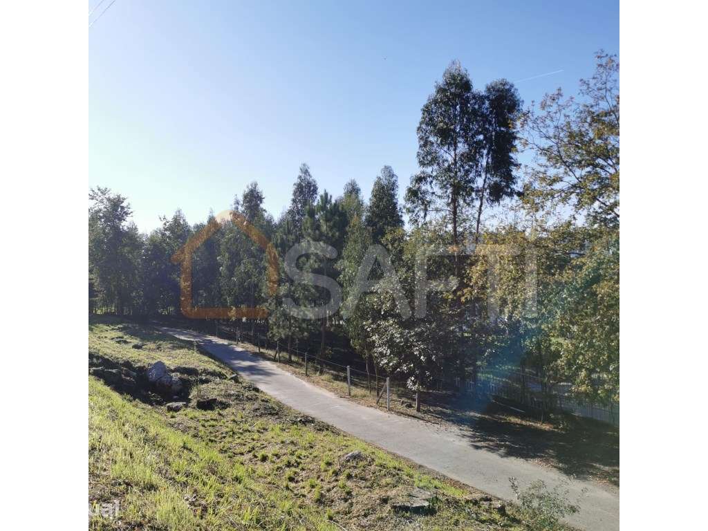 Terreno industrial com 3000m2 - Grande imagem: 2/9