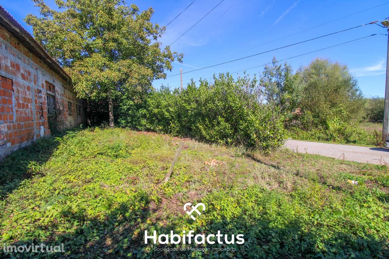 Armazém à venda em Campo de Besteiros - Grande imagem: 3/25