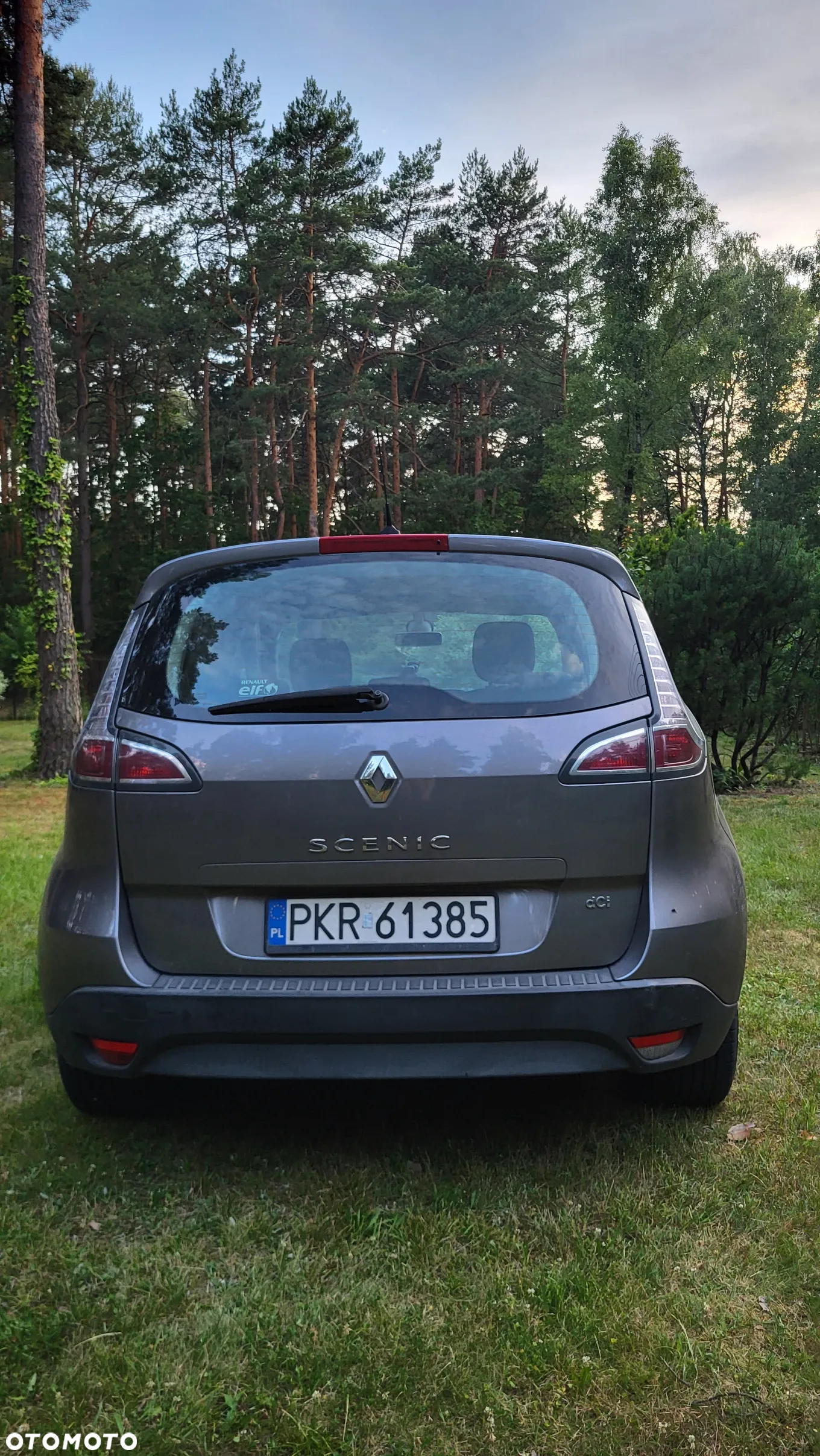 Renault Scenic - 6