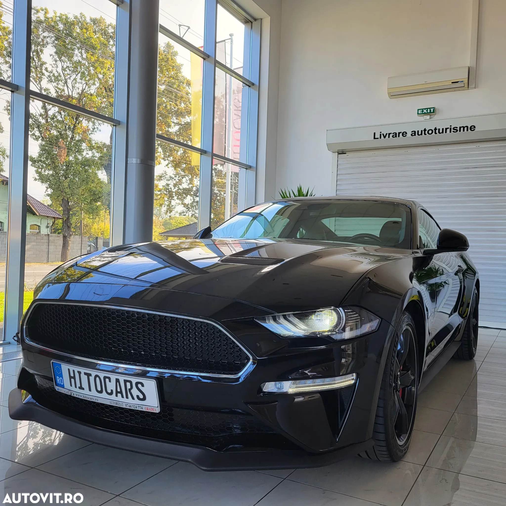 Ford Mustang 5.0 V8 Bullitt - 2