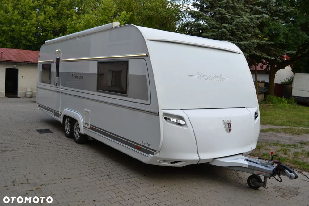 Tabbert Puccini - 37
