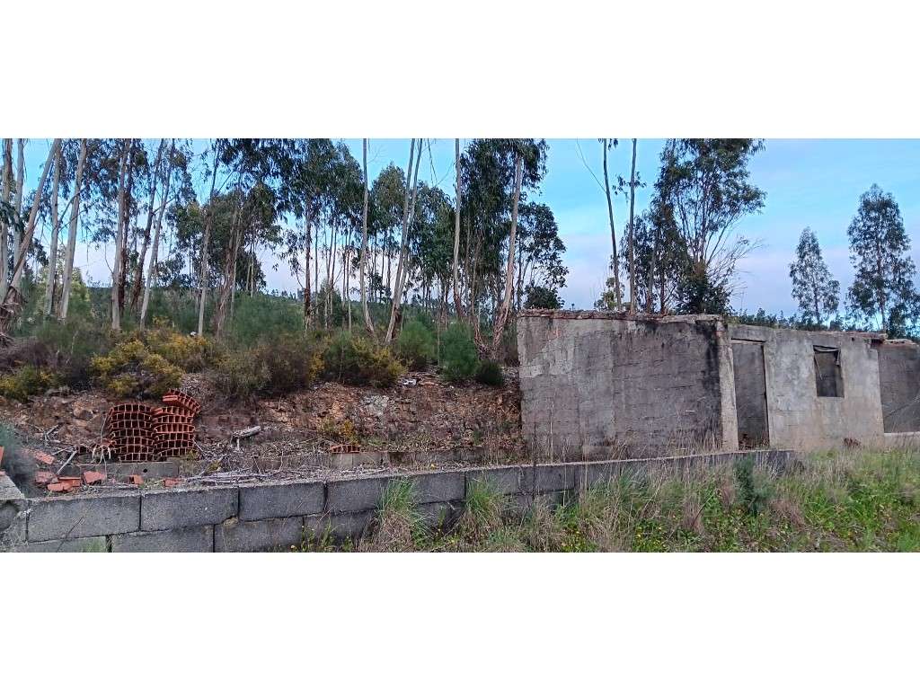Terreno Rústico com Construção Rural, Poço e Oliveiras em Carreguei... - Grande imagem: 3/9