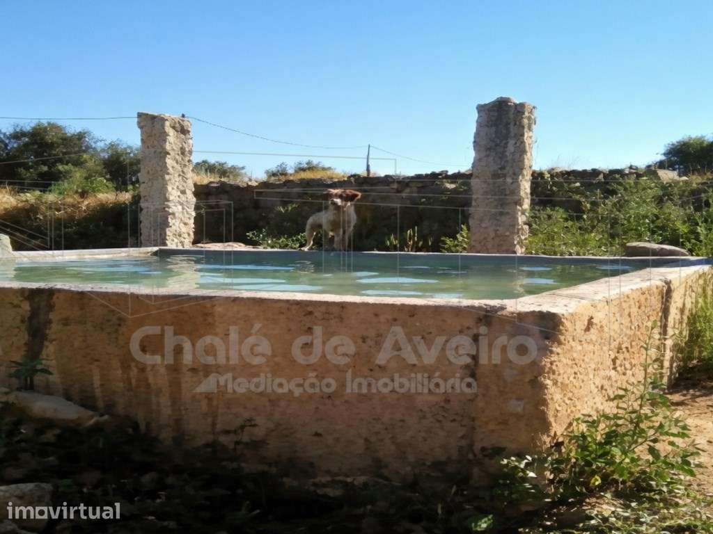 Herdade com 3 Hectares e 200 Oliveiras em Nisa, Portalegre - Grande imagem: 3/15