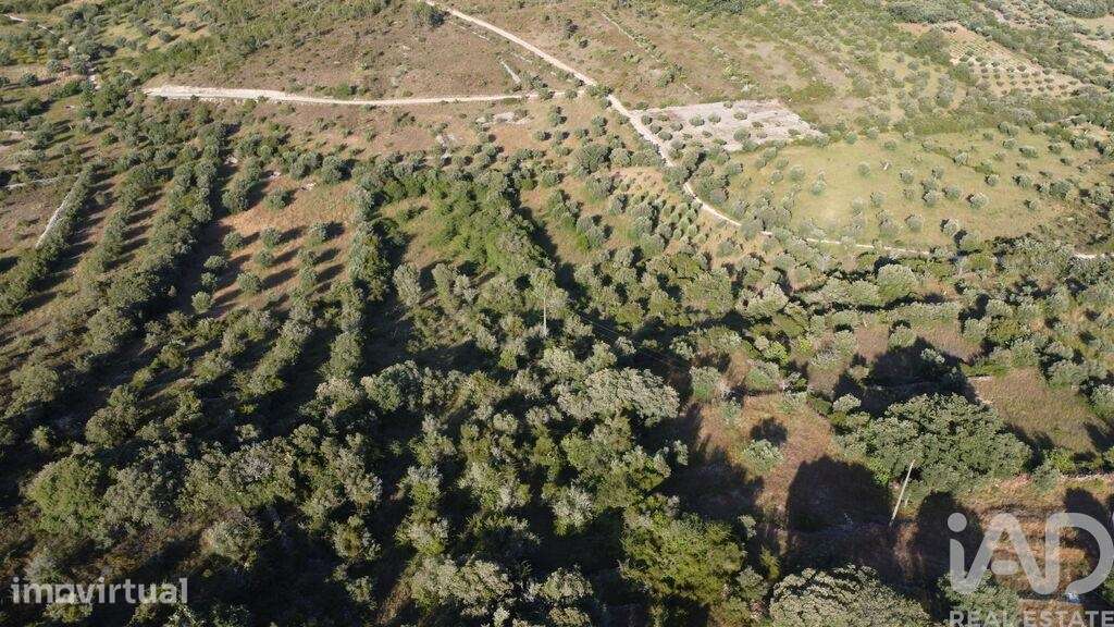 Terreno em Chãos de 4800,00 m2 - Grande imagem: 2/30