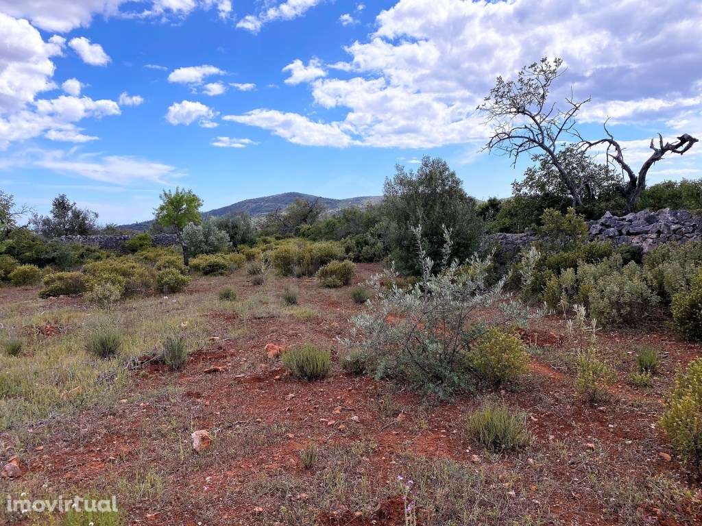 Terreno Rútico com vista Mar, Loulé, Algarve - Grande imagem: 3/13