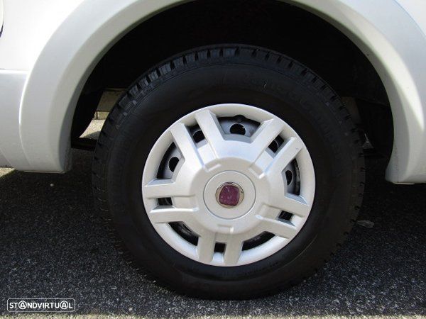 McLouis Yearling Série Limitada - 16