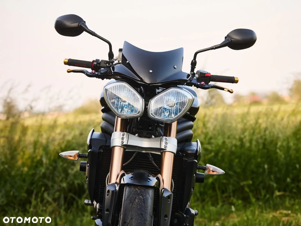 Triumph Speed Triple - 10