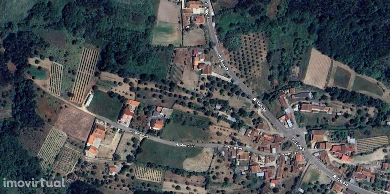 Olival - Grande imagem: 3/3