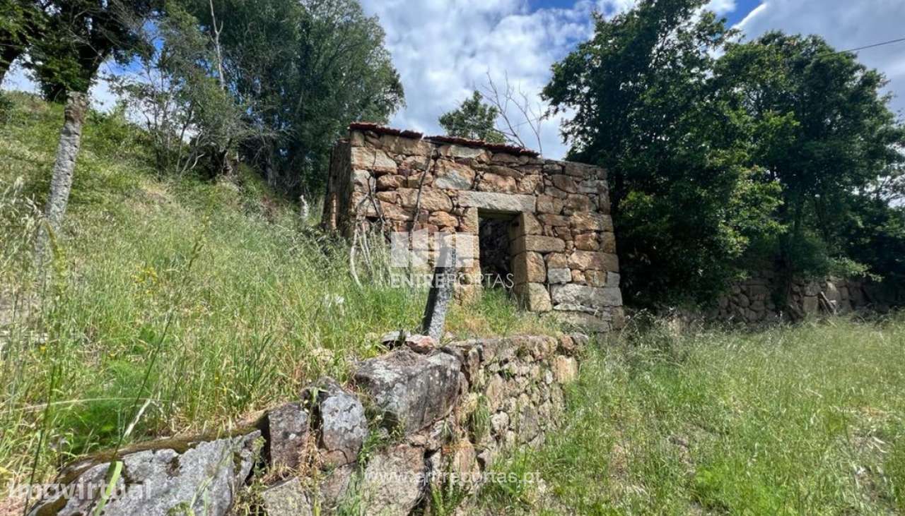 Venda Quinta, Penha Longa, Marco de Canaveses - Grande imagem: 5/29