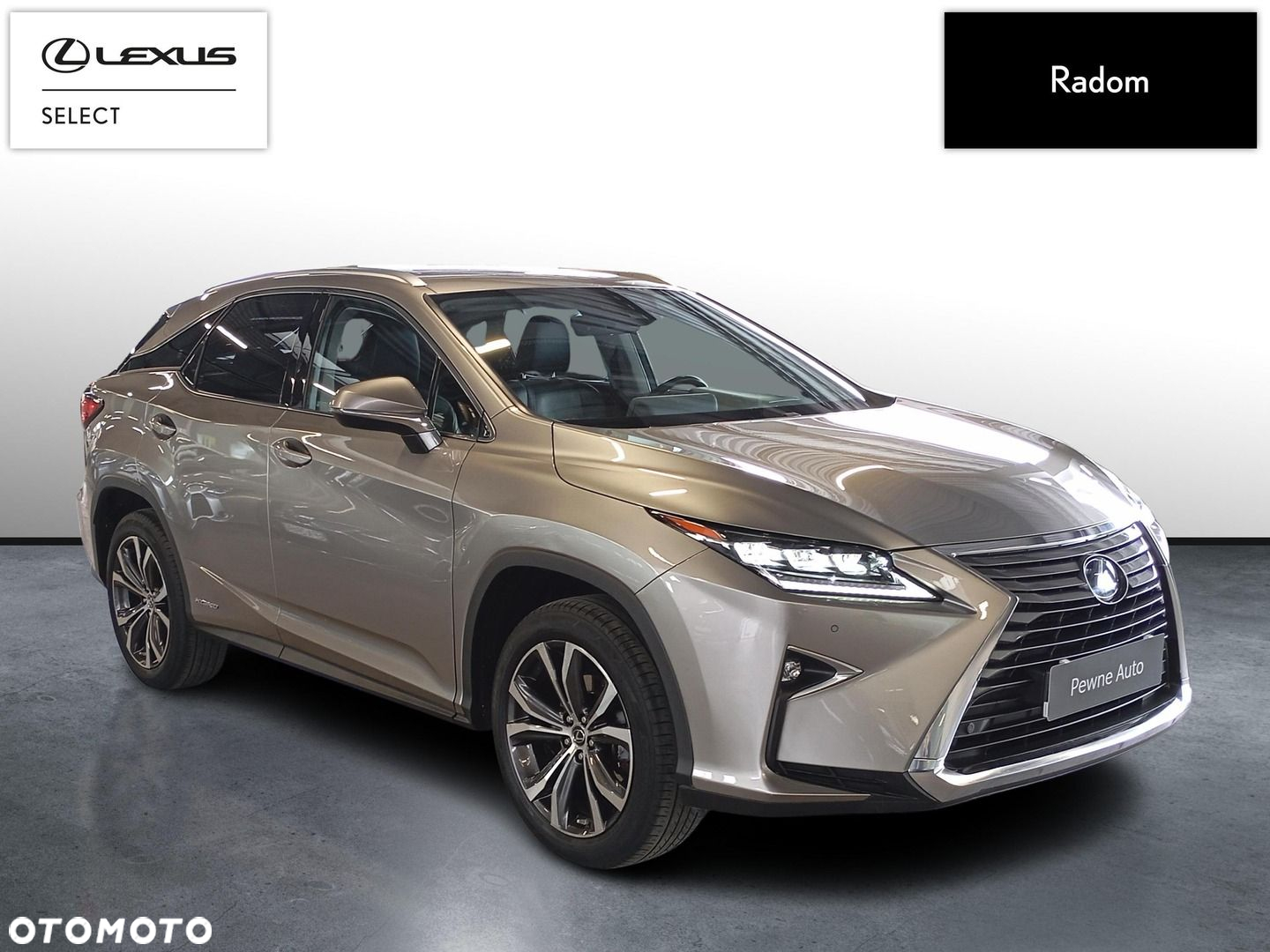 Lexus RX 450h Prestige MY19 - 3