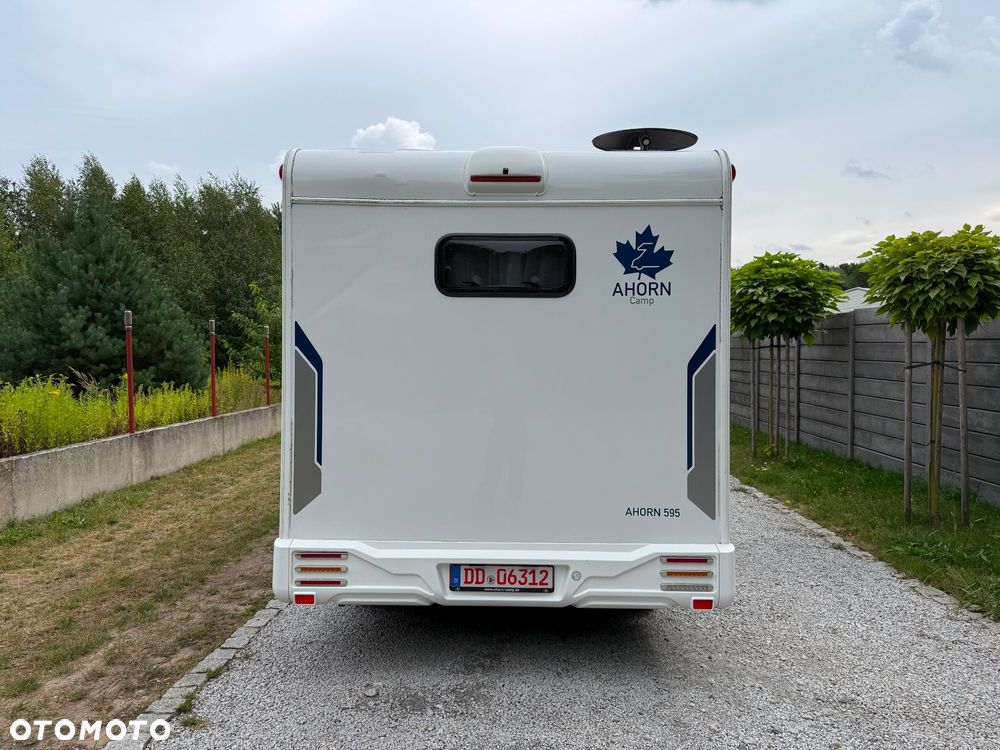 Renault Ahorn Camo 595 2024r - 16
