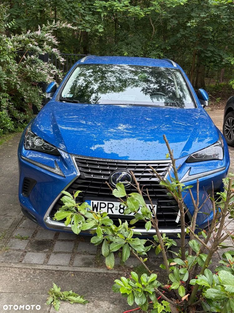 Lexus NX 300h Optimum AWD - 2